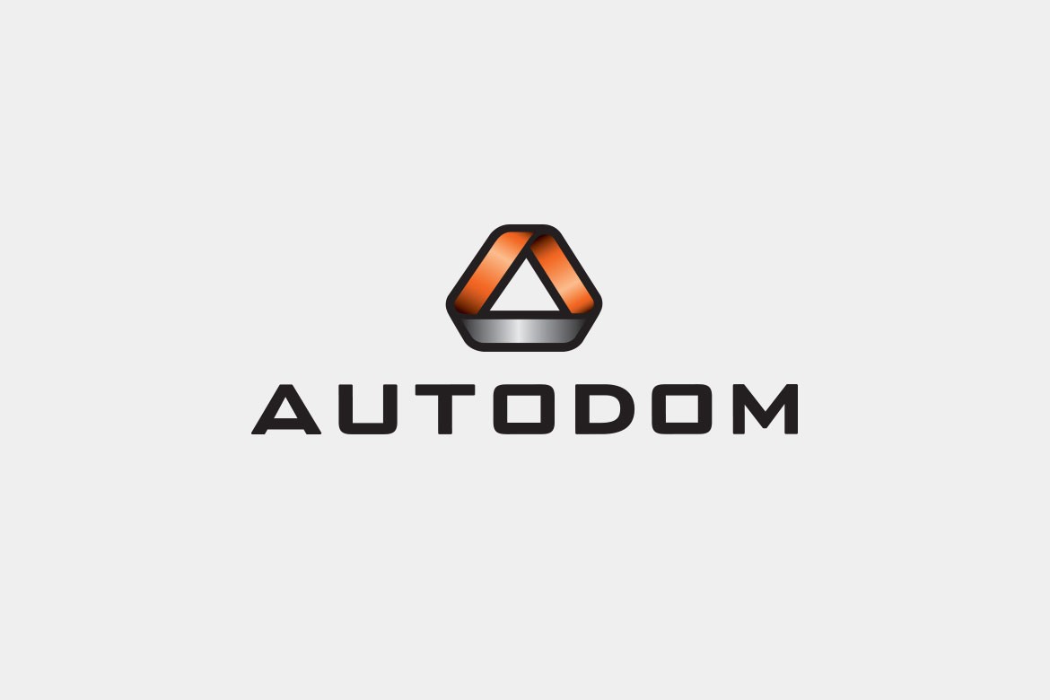 portfolio-autodom-1