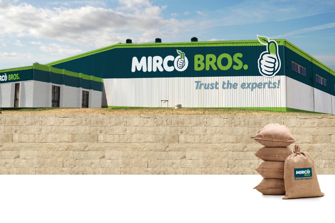 mirco-bros-Building
