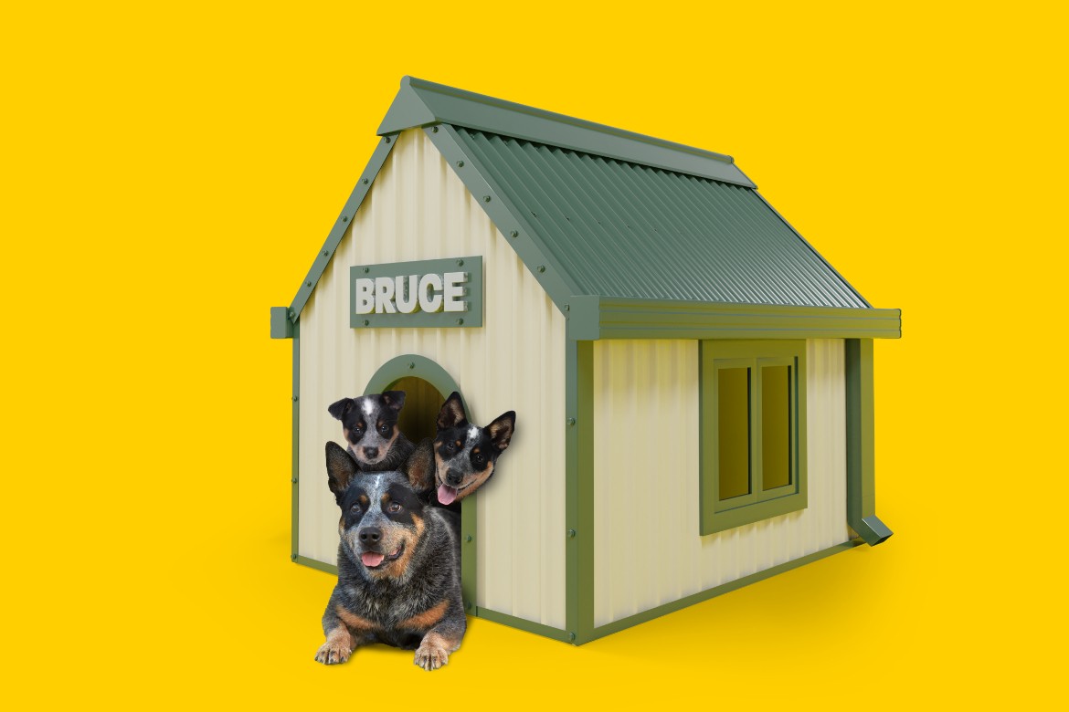 Bruce-Dog-House-Roof
